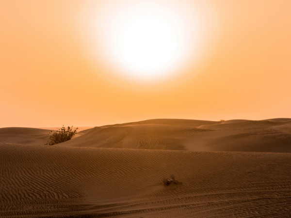 Western Sydney Launches Heatwave Toolkit for Organisations