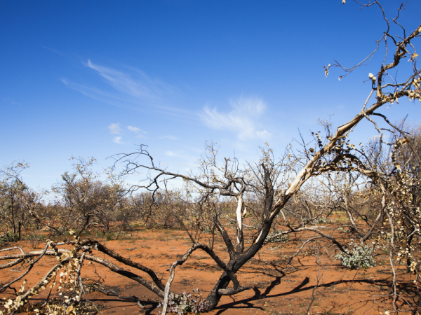 Heartbeat of Rural Australia – study of not-for-profits in remote, rural and regional Australia