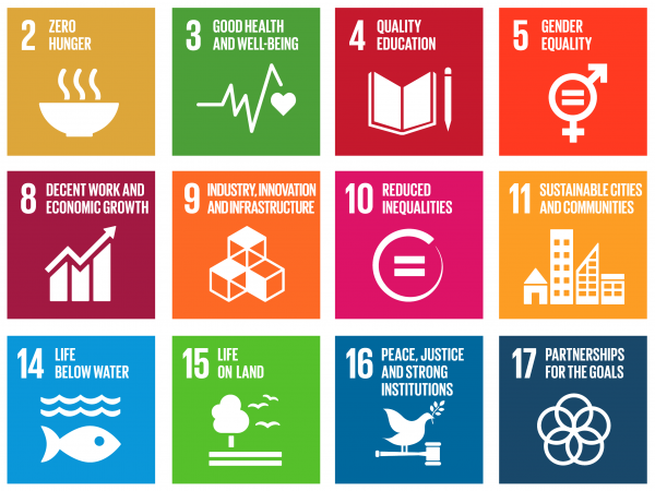 The Centre for Volunteering and the United Nations’ Sustainable Development  Goals 2030