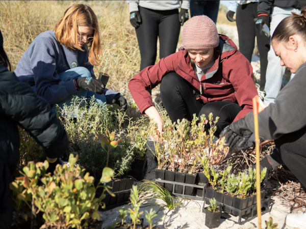 New grants program for volunteer involving organisations