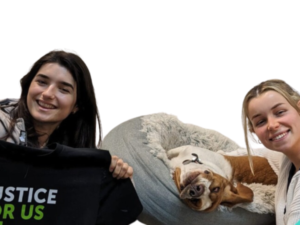 Serving justice for all with Marrickville Legal Centre