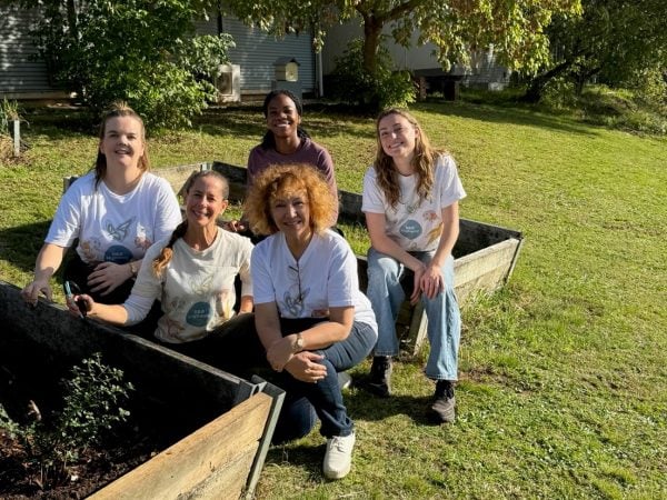 Meet PlantingSeeds